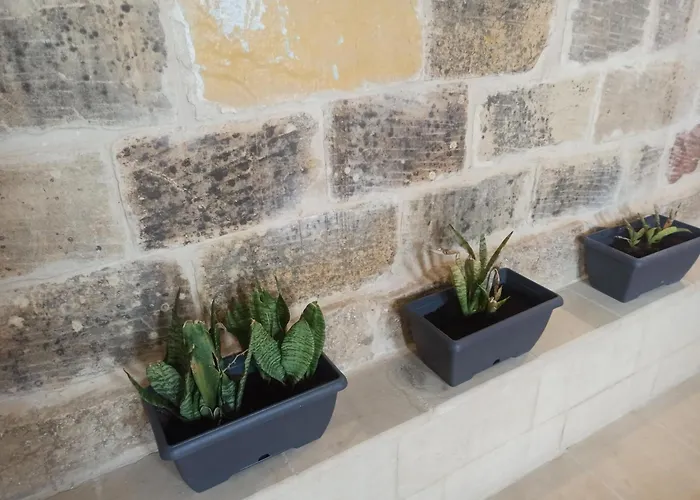 Tal-barun San Lawrenz