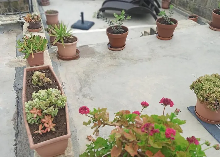 Tal-barun * San Lawrenz